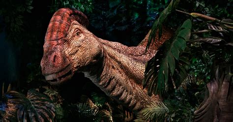 Exclusive: You can meet 'Jurassic World' dinosaurs in real life