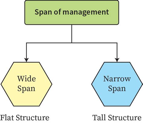 Span Of Control Diagram