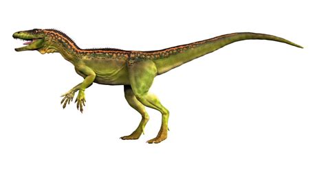 Eoraptor Dinosaur | Eoraptor Facts | DK Find Out