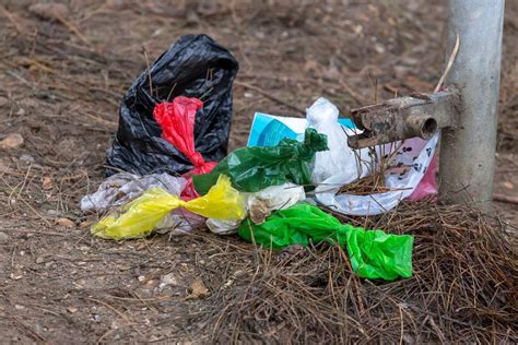 Incorrectly disposed plastic bags pollute the forest floor - Creative ...