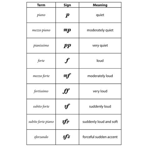 What is Music Theory? The Basics Every Beginner Should Learn