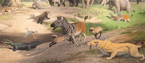 Pliocene Mammals