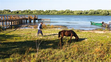 Danube Delta & Black Sea private Tour - Romania Tour Store