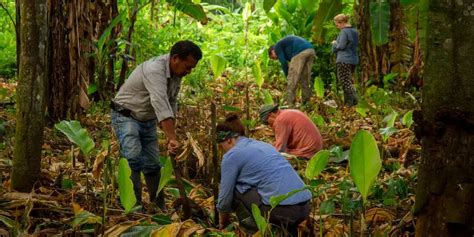 Importance of Volunteering on Environmental Conservation Project