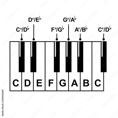 Piano keyboard diagram - piano keyboard layout on white background ...