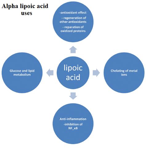 Alpha Lipoic Acid Benefits : Alpha Lipoic Acid The Ultimate Solution To Skin Problems Zenjenskin ...