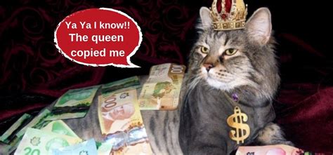 Rich cat flaunts inheritance on Instagram. | The Rich Times