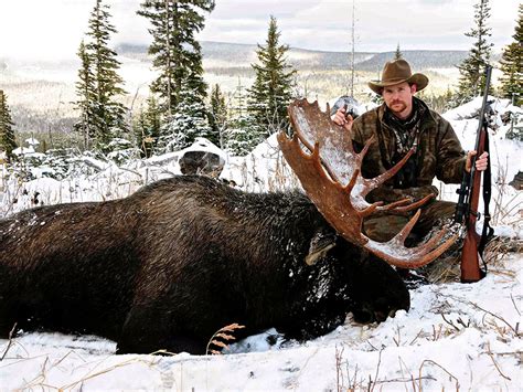 Moose Hunts BC Canada Guided Canadian Moose Hunting with Opatcho Lake Guide Outfitters in BC Canada