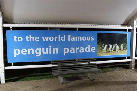 Phillip Island Penguin Parade - Fairy Penguins Discount Tickets & Prices