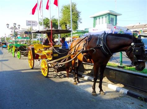 15+ Alat Transportasi Tradisional di Indonesia Darat dan Laut