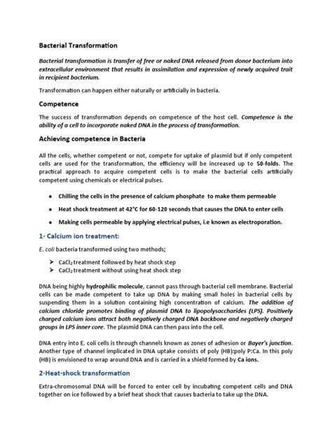 Bacterial Transformation | PDF | Transformation (Genetics) | Cell Biology