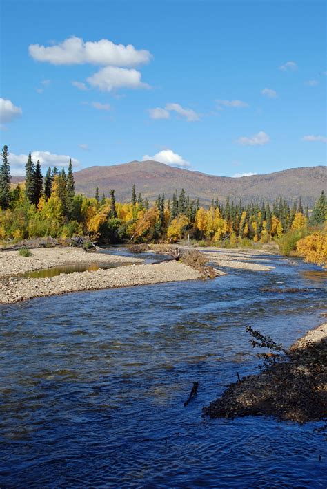 Chena River near Fairbanks, #Alaska // #Travel | Alaska Things to Do | Pinterest | Fairbanks ...