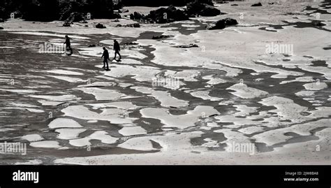 3 people exploring the beaches of St Ives Stock Photo - Alamy