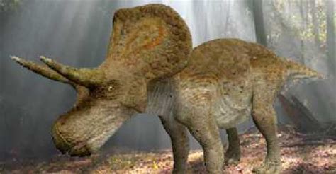 Zuniceratops Dinosaur, posters | information - Zuniceratops Gallery