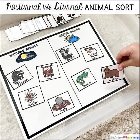 Up All Night! 30+ Nocturnal Animals Activities for Preschool & PreK