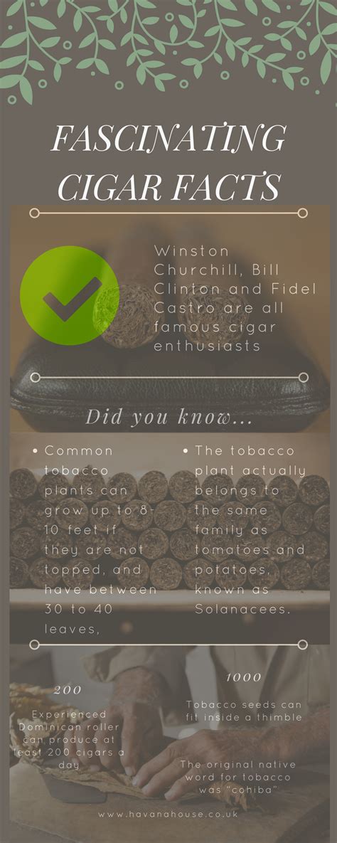 Infographic: Fascinating Facts About Cigars | Havana House