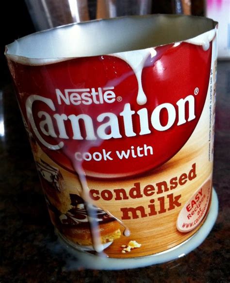 carnation condensed milk recipes