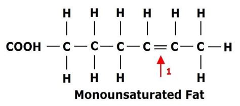 3: Monounsaturated Fat Figure3.2:Saturated Fat | Download Scientific Diagram