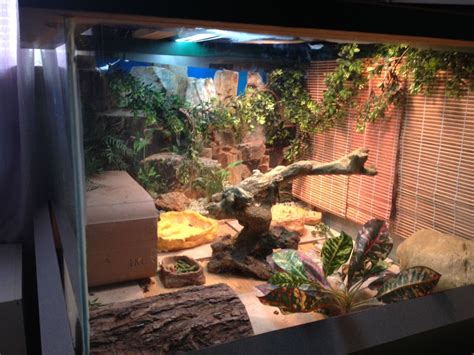 Pin on Reptile Enclosures