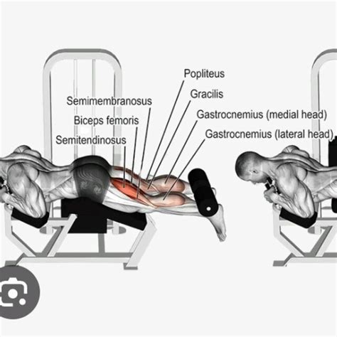 Hamstring Curl by Kc H. - Exercise How-to - Skimble