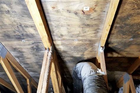 Crawl Space Mold Removal Cost