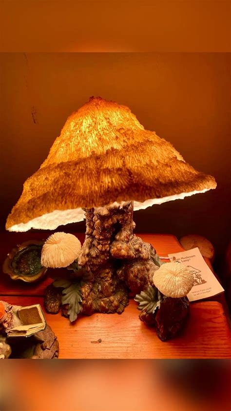 Mushroom lamp. Mushroom decor. Cottage core. Cottage core home. in 2022 | Shabby chic cottage ...