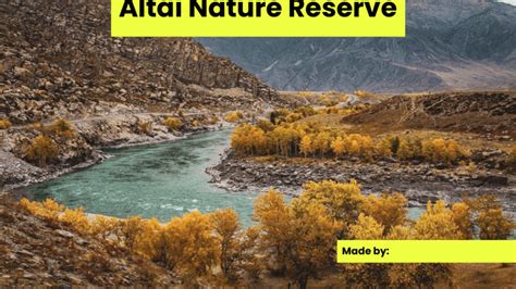 Altai Nature Reserve