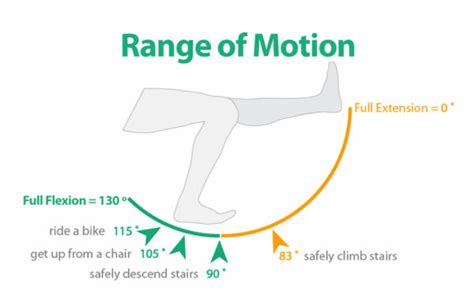 Range Of Motion For Knee