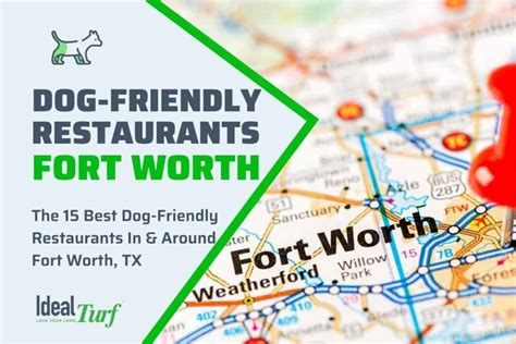 15 Best Dog-Friendly Restaurants in & Around Fort Worth, TX