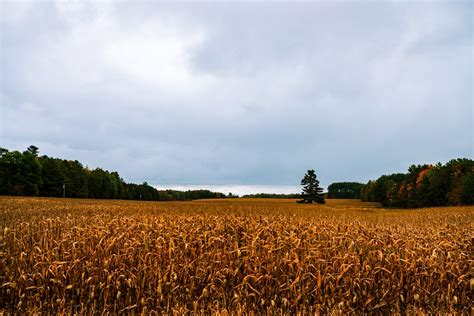 Wisconsin | 15 best free wisconsin, farm, wisconsin and green photos on Unsplash