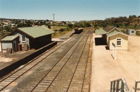 Bombala Station