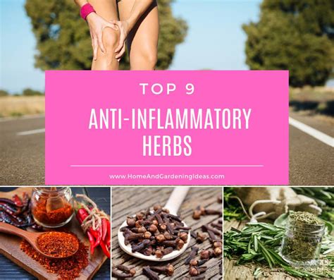 9 Top Anti-Inflammatory Herbs - Home and Gardening Ideas