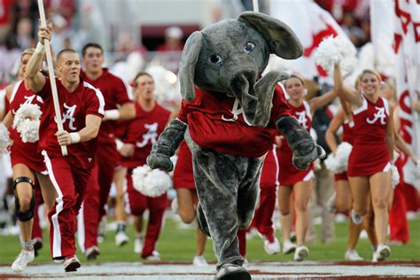 Alabama's Elephant Mascot: Why Big Al is the Perfect Tide Symbol