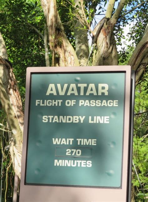 How to navigate the Avatar ride at Disney’s Animal Kingdom