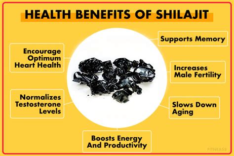 Shilajit Benefits - Things You Must Know Before Taking Shilajit