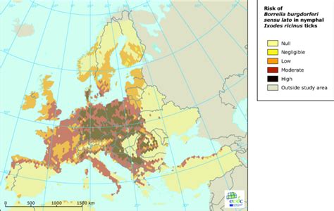 Warning over alarming spread of Lyme disease in Europe - Medcare SpainMedcare Spain