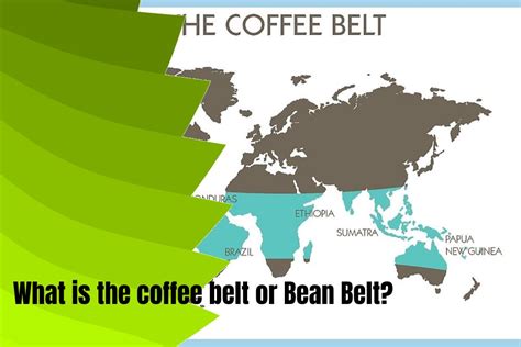 What Is The Coffee Belt And Where Is It Located?