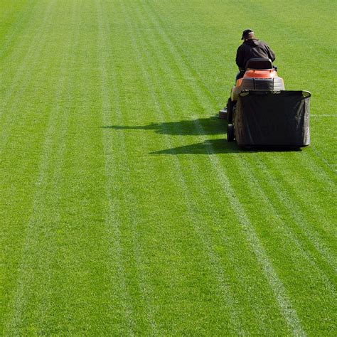 Cut Like a Pro: The Best Lawn Mowing Patterns