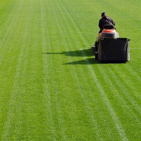 Cut Like a Pro: The Best Lawn Mowing Patterns