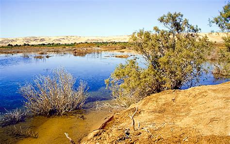 Bahariya Oasis - Egypt Trip Guides