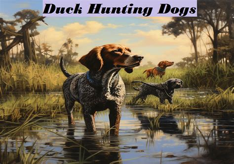 Duck Hunting Dogs: Man’s Wetland Companion - The Shooting Gears