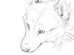 wolf drawing tutorial | Wolf sketch, Sketches, Sketch paper