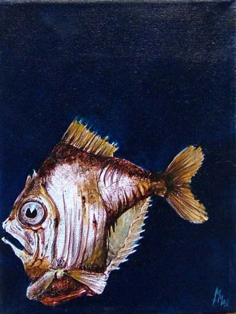 Hatchet Fish 1 by Michelle Miller