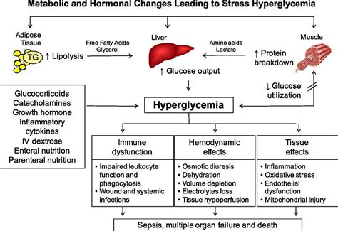 ADE | The Enteral Enigma: managing diabetes and enteral nutrition