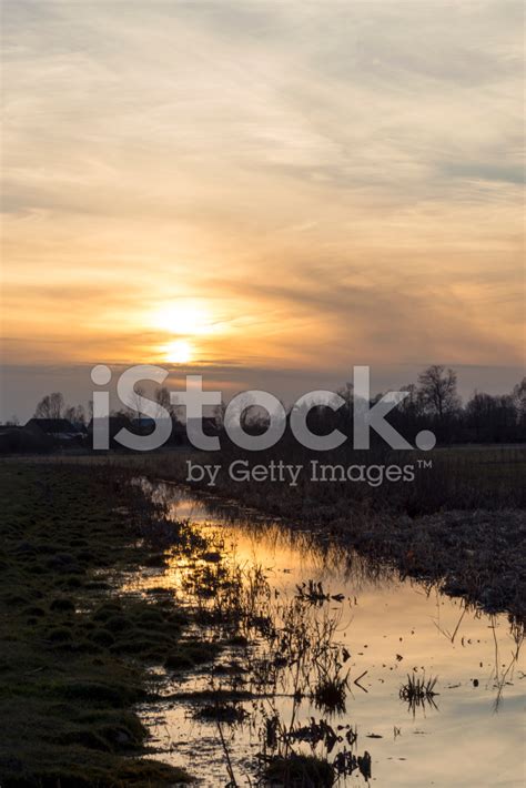 Sunrise In Early Spring Stock Photo | Royalty-Free | FreeImages