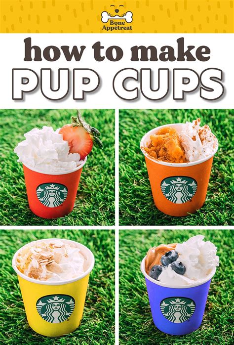 Homemade Puppuccino Recipe (Pup Cups 5 Ways!) | Dog recipes, Healthy ...