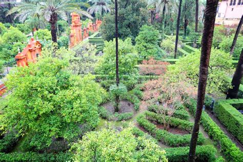 Alcazar gardens in Sevilla stock photo. Image of decoration - 34925950