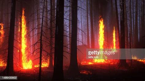 Wildfire Smoke Health Photos and Premium High Res Pictures - Getty Images
