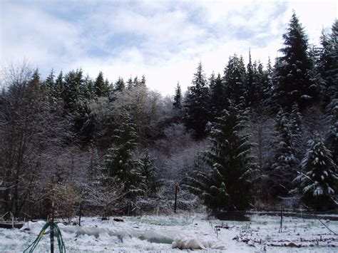 Photos: A Snowy Farm Morning | Of The Hands