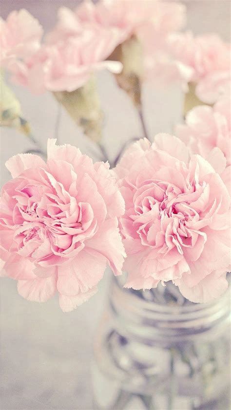 Beautiful Pastel Flowers Wallpapers - Top Free Beautiful Pastel Flowers Backgrounds ...